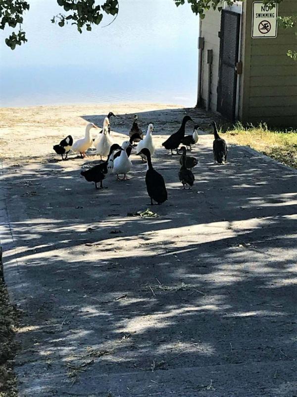 2023 Clayton - Wakarusa Mobile Home For Sale