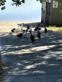 2023 Clayton - Wakarusa  Home