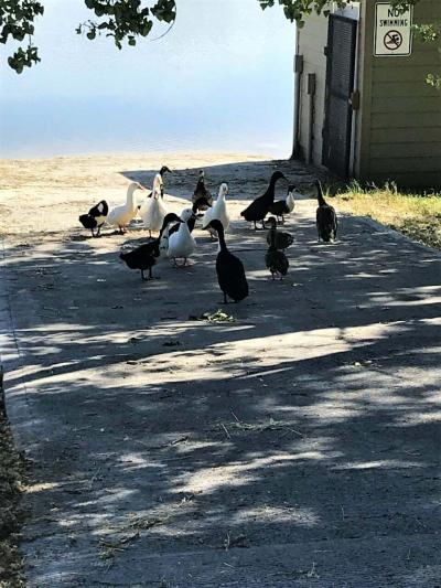 Mobile Home at 26 Bing Street N #26Bi Billings, MT 59105