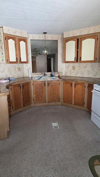 Photo 4 of 12 of home located at 124 Birchbark Drive Elyria, OH 44035