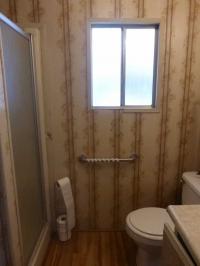 1980 Skyline Mobile Home