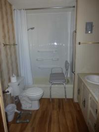 1980 Skyline Mobile Home