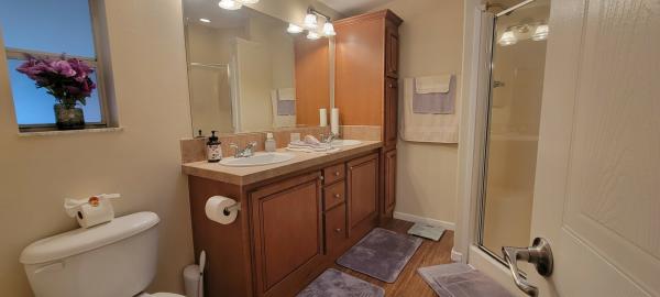 2007 Skyline Mobile Home