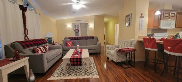 2007 Skyline Mobile Home