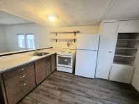 1971 SKYLINE Mobile Home