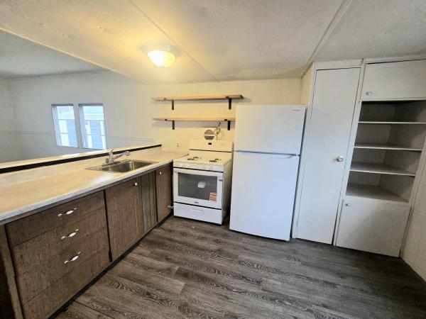 1971 SKYLINE Mobile Home