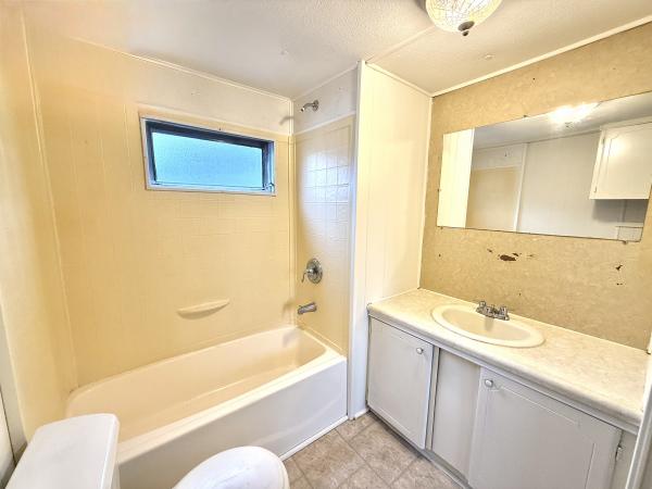 1971 SKYLINE Mobile Home