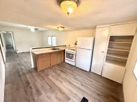 1971 SKYLINE Mobile Home