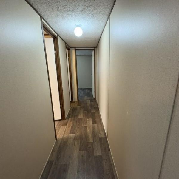 2019 Southern Energy Homes  Home