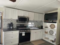 1985 Skyline TV Mobile Home