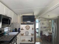 1985 Skyline TV Mobile Home