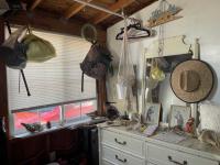 1985 Skyline TV Mobile Home