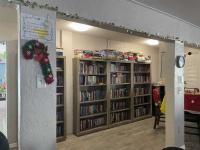 1985 Skyline TV Mobile Home