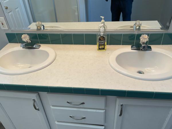 2001 Skyline skyline Mobile Home