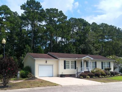 Photo 2 of 20 of home located at 188 Rice Circle Ladson, SC 29456