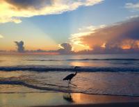 1974 BROAD SW Mobile Home