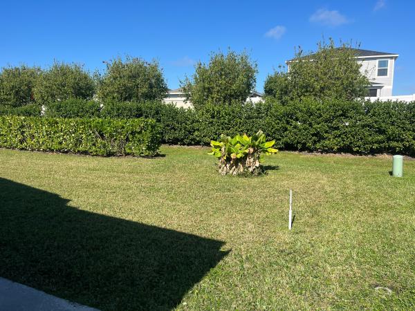 1994 Homes of Merit  Home