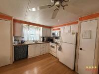 1978 PALM   Home
