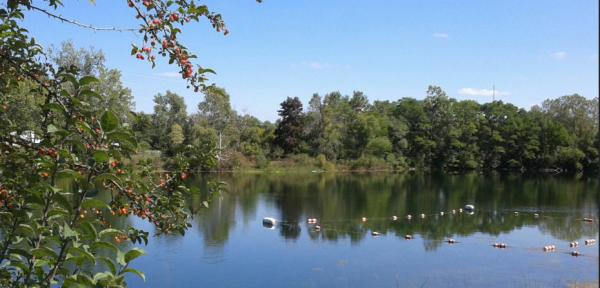 2016 Champion Redman Advantage II Mobile Home