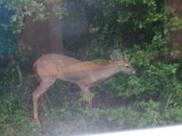 1998 Fleetwood Mobile Home