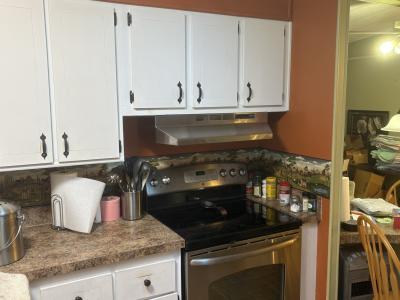Photo 2 of 24 of home located at 804 Citrus Tree Dr. Orange City, FL 32763