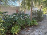 1985 barr 2 Mobile Home