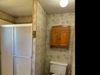 Skyline Buddy Manufactured Home