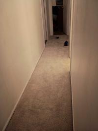 1973 Mano Mobile Home