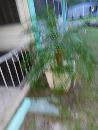 1973 Mano Mobile Home