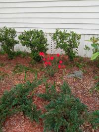 1973 Mano Mobile Home