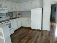 1967 PARK Manufactured Home