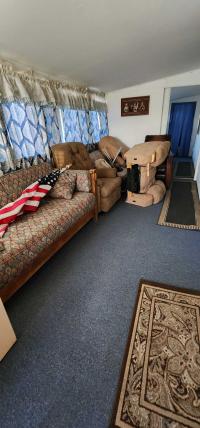 1979 Skyline Buddy Mobile Home