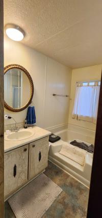 1979 Skyline Buddy Mobile Home