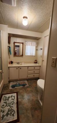 1979 Skyline Buddy Mobile Home