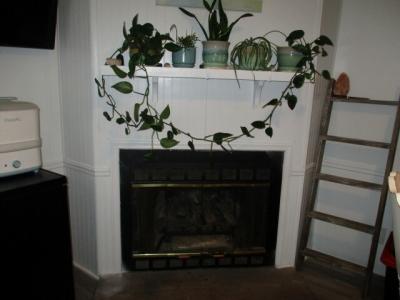 Photo 5 of 16 of home located at 300 Marquette Ct E Rochester Hills, MI 46307