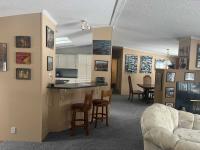 1996 Skyline Manufactured Home