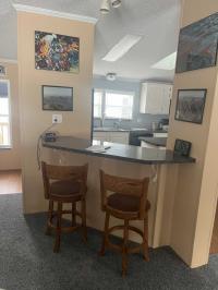 1996 Skyline Manufactured Home