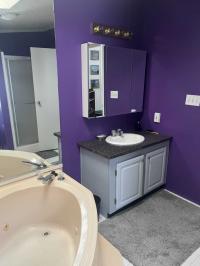 1996 Skyline Manufactured Home