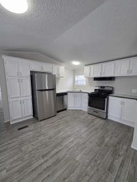 1996 Skyline Manufactured Home