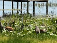 2020 Clayton Mobile Home