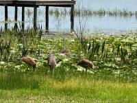 2020 Clayton Mobile Home