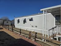 1995 Skyline Mobile Home