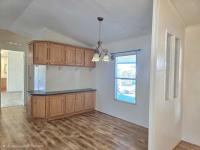 1995 Skyline Mobile Home