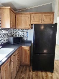 1995 Skyline Mobile Home