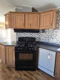 1995 Skyline Mobile Home