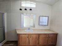 1995 Skyline Mobile Home