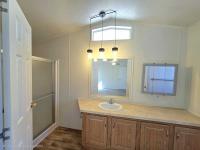 1995 Skyline Mobile Home