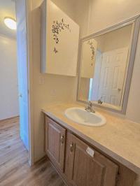 1995 Skyline Mobile Home