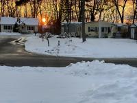 2026 Skyline Calm 880 Mobile Home