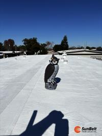 1970 CHAT Mobile Home